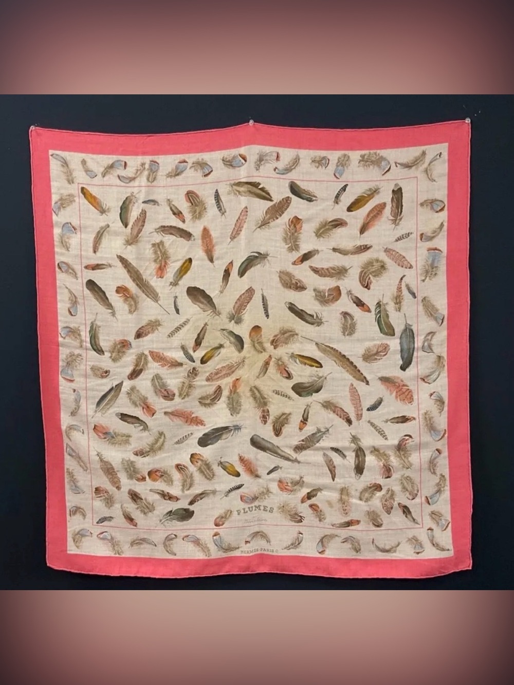 Hermès Plumes Cashmere Silk Carré 90 Pink Authenticated Henri de Linares